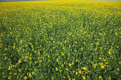 继续备战Steam Deck 《半条命2》推出全新现代化UI设计