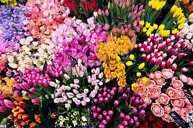 巧舟NDS经典游戏《幽灵欺诈HD》2023夏季发售