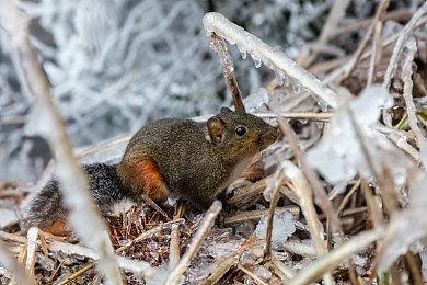 《机场模拟》发布“游戏模式”预告和全新截图